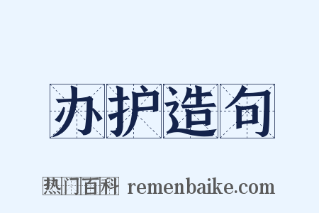 办护造句是什么意思的图片